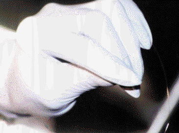 News2.gif