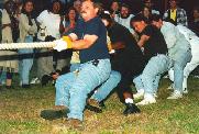 tug-o-war