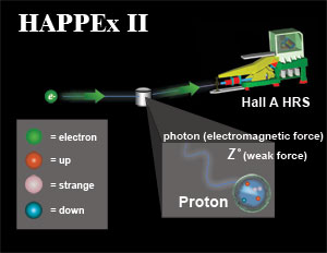 happex