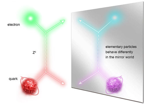 Elementary particles behave differently in the mirror world