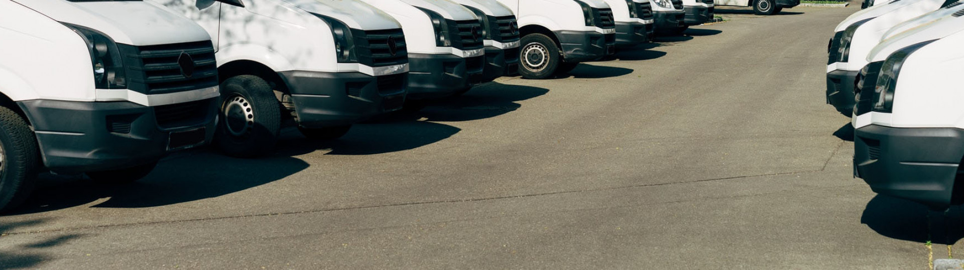 White Van Lineup