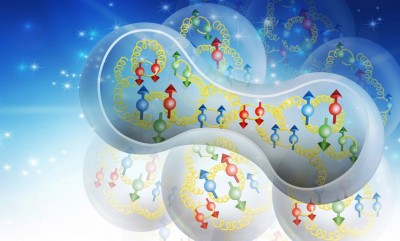 An artist's conceptual graphic showing a short-range correlated pair of nucleons in the nucleus.