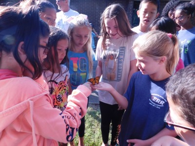 Summer Science Camp Activities